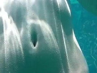 softcore giapponese 135