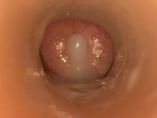 Cum Inside Fleshlight da cena Javdiscovery-Com