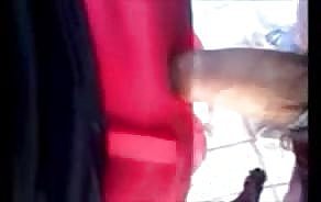 porno de unfriendliness parada de autobús vídeos